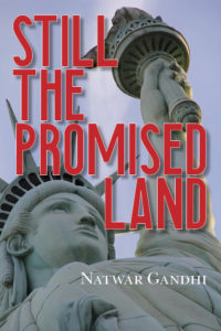 Still the Promised Land cover